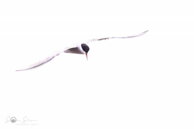 20230704-2T6A1813