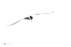 20230704-2T6A1813