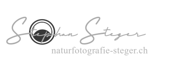 NATURFOTOGRAFIE-STEGER.CH